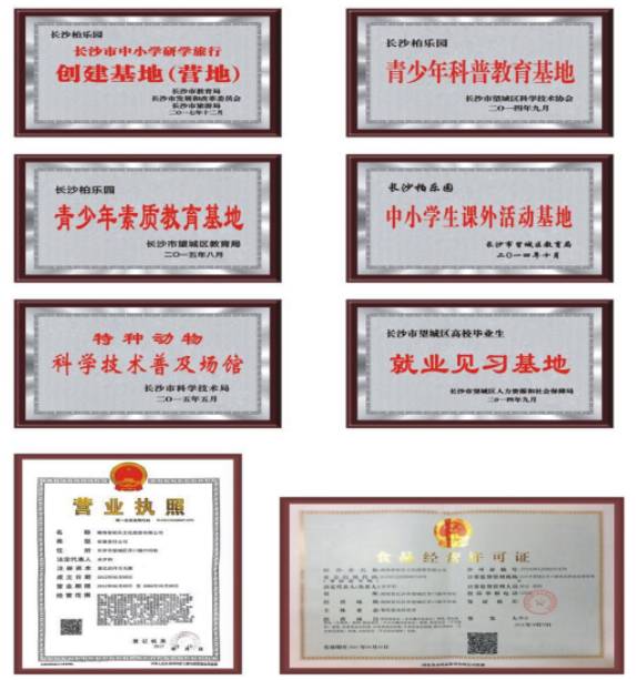柏乐园研学旅行