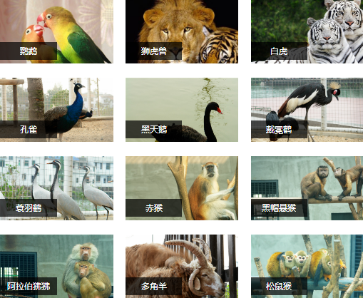 柏乐园研学旅行